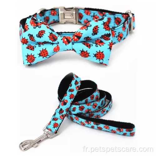 mignon collier de chien personnalisé et laisse